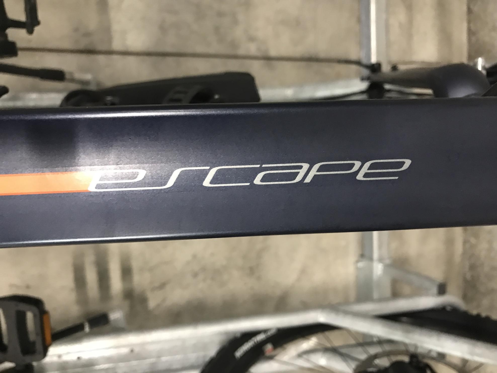 Giant Escape 2 Silver, gray or bare metal