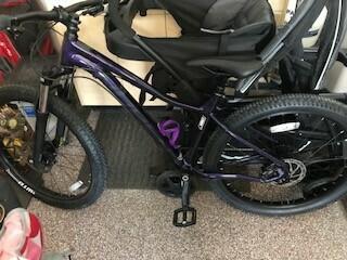 2019 Norco Bikes Purple