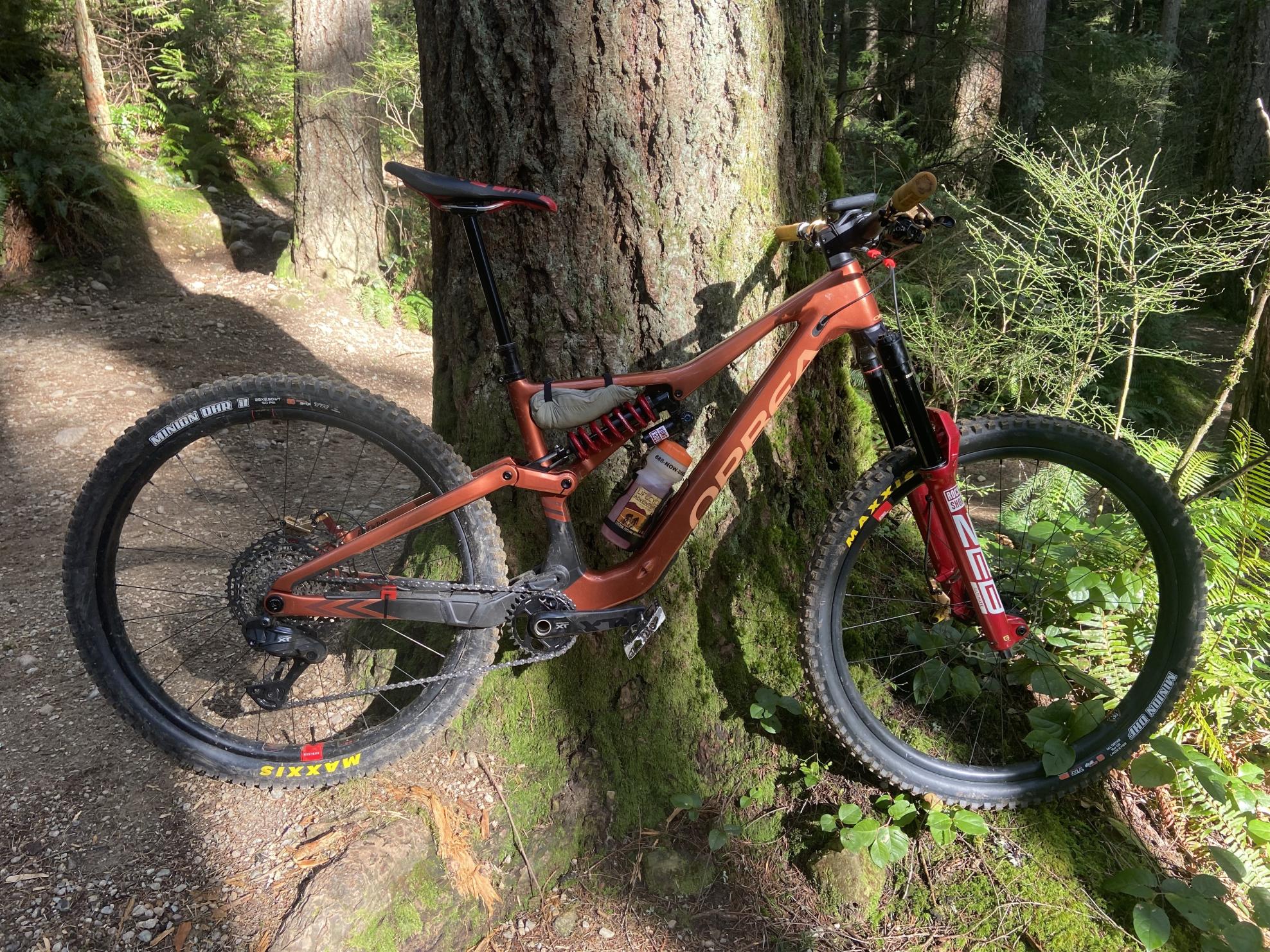 2024 Orbea Rallon Orange and Yellow or Gold