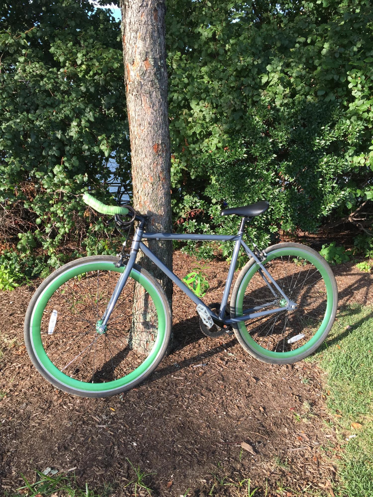 2015 Vilano Edge Silver or Gray and Green