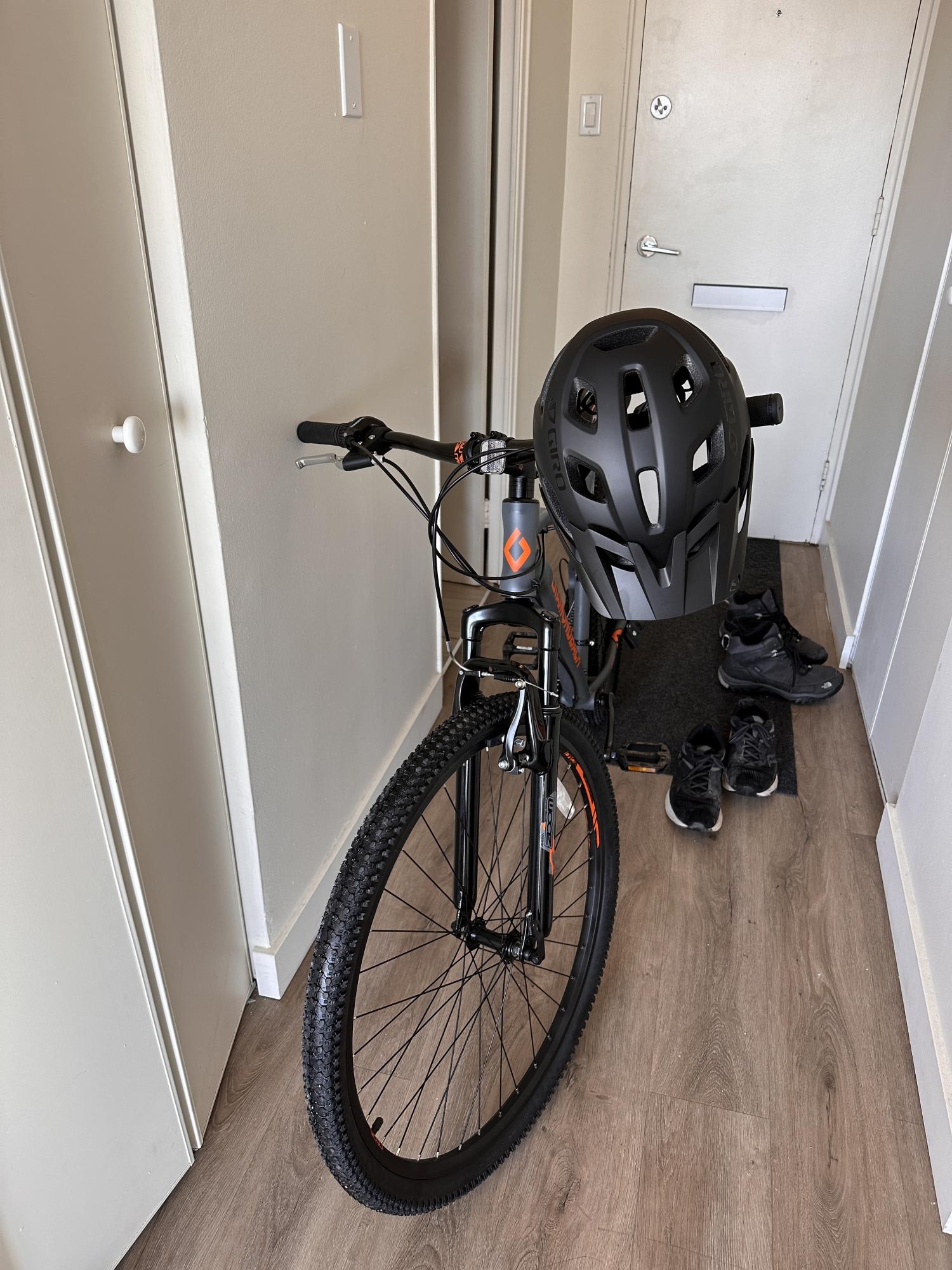 Diamondback Odyssey Silver, gray or bare metal and Orange