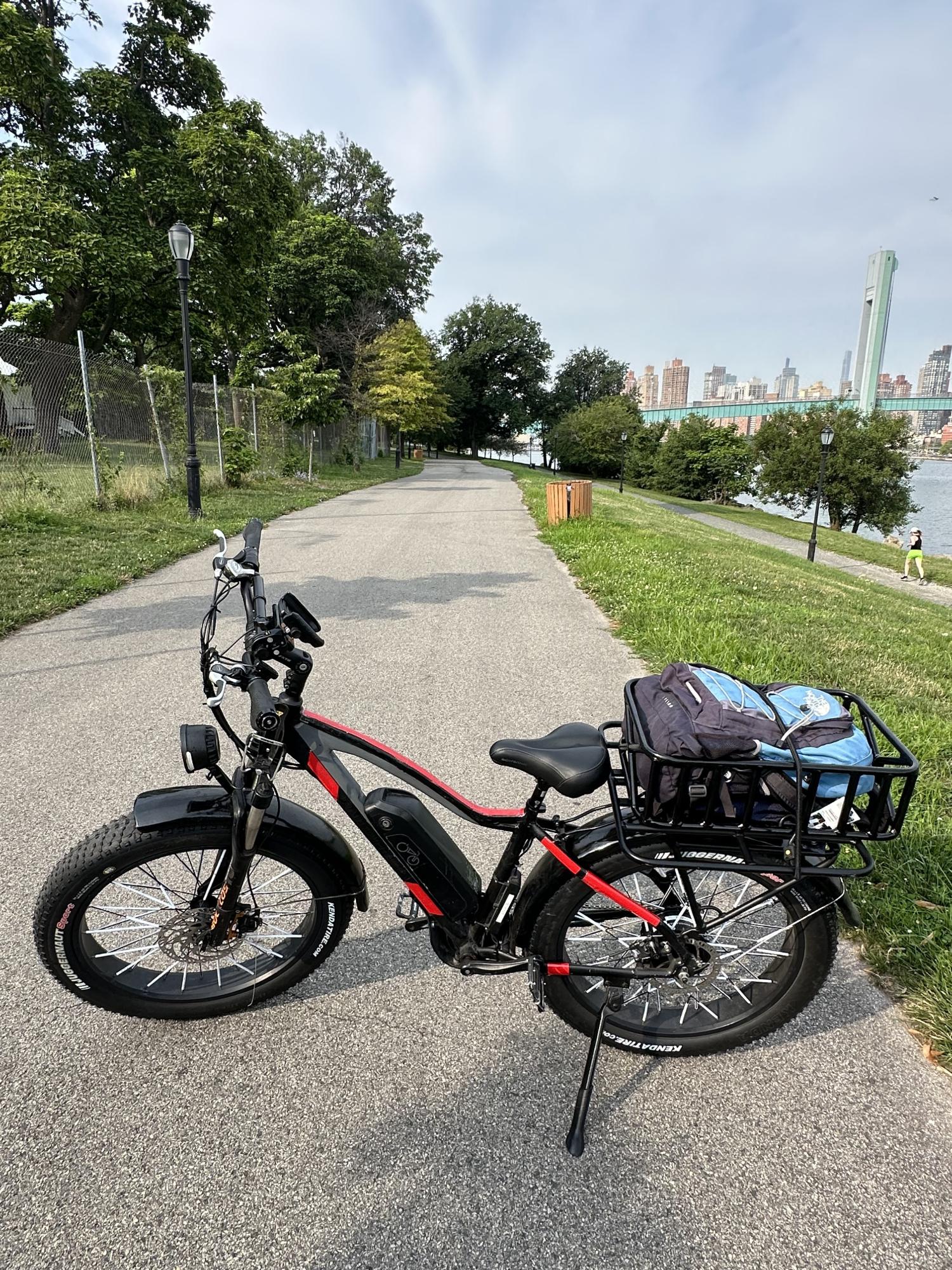 2020 Rad Power Bikes RadRover 5 Black, Silver, gray or bare metal, and Orange