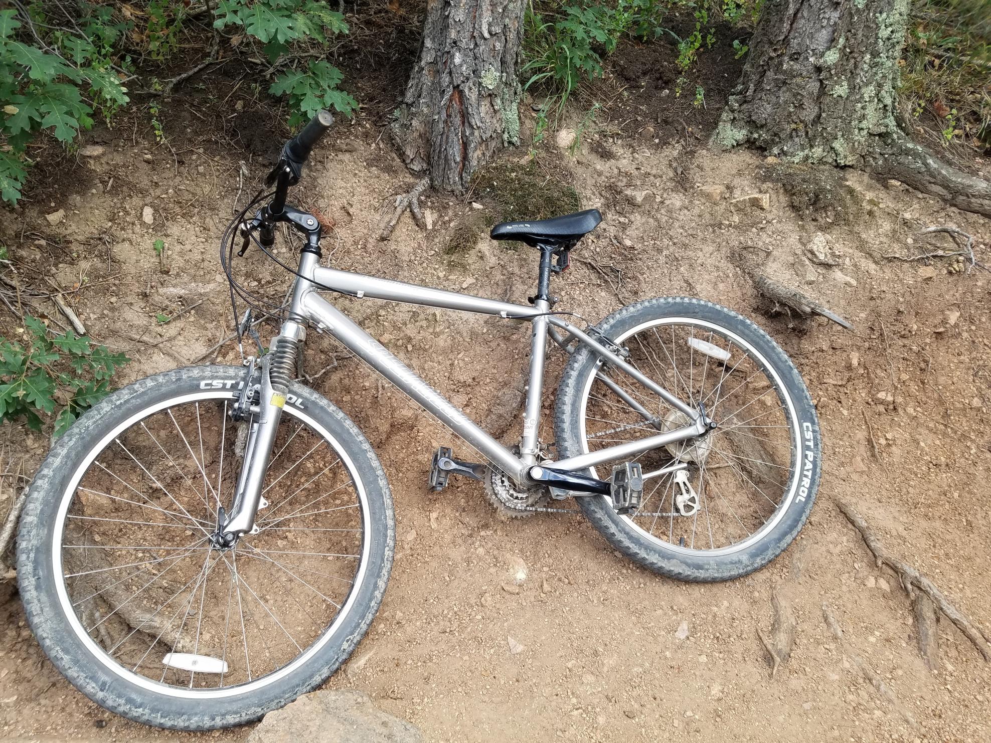 Specialized Rockhopper A1 FS Silver, gray or bare metal