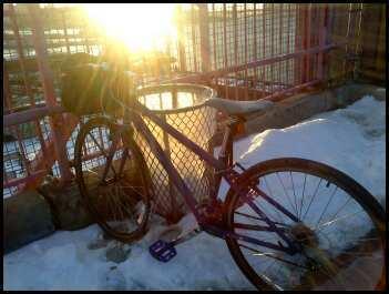 2008 Trek Hybrid  Black