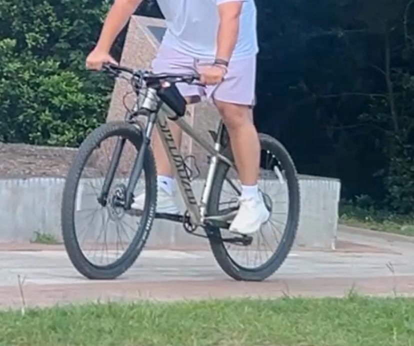 2024 Specialized Rock hopper Green