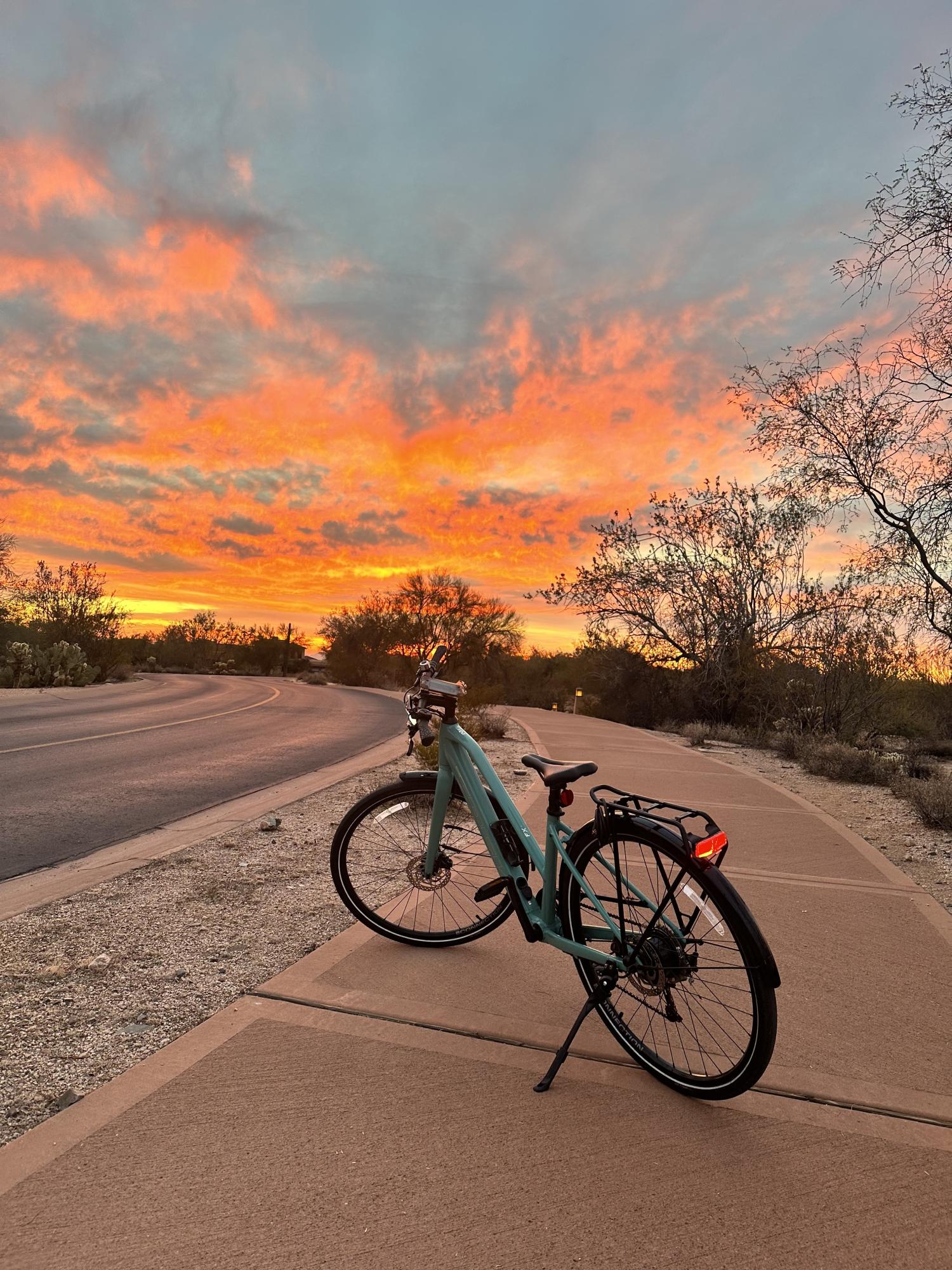 2022 Trek Fx 2 stagger Blue and Green