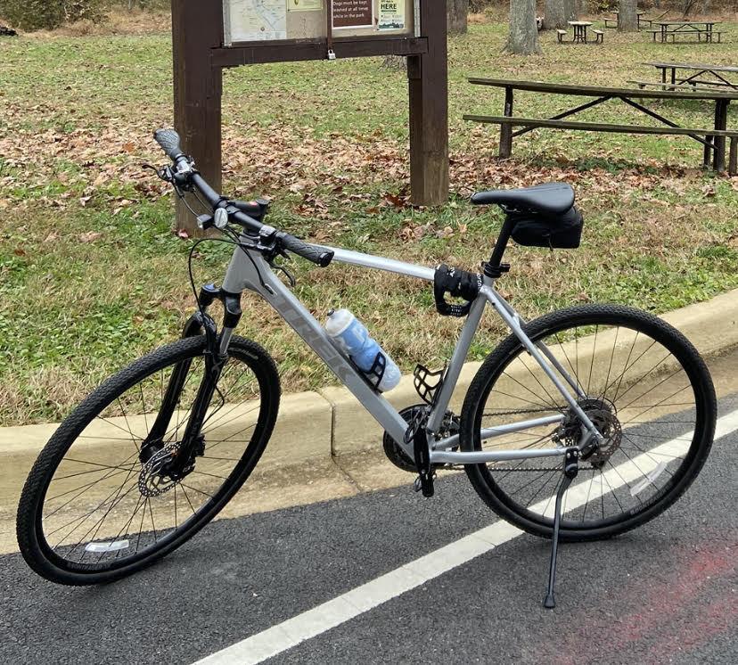 2019 Trek Dual Sport 3 Silver, gray or bare metal