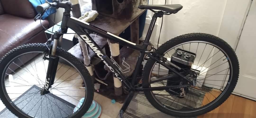 Diamondback Hardtail Black and White