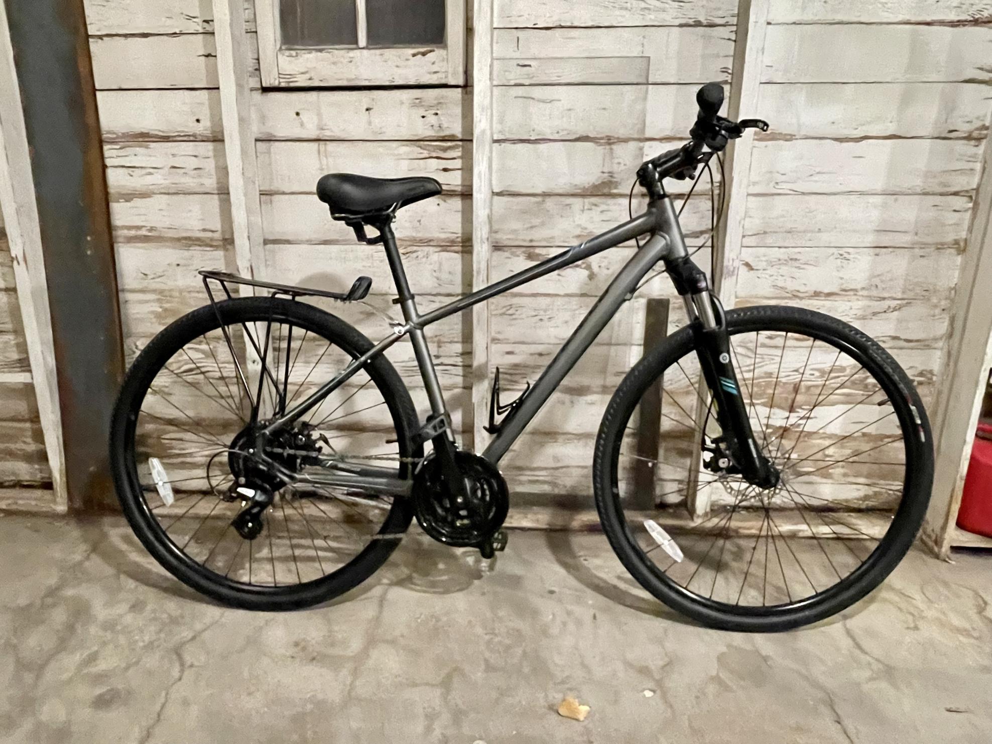 2018 Specialized Ariel Silver, gray or bare metal