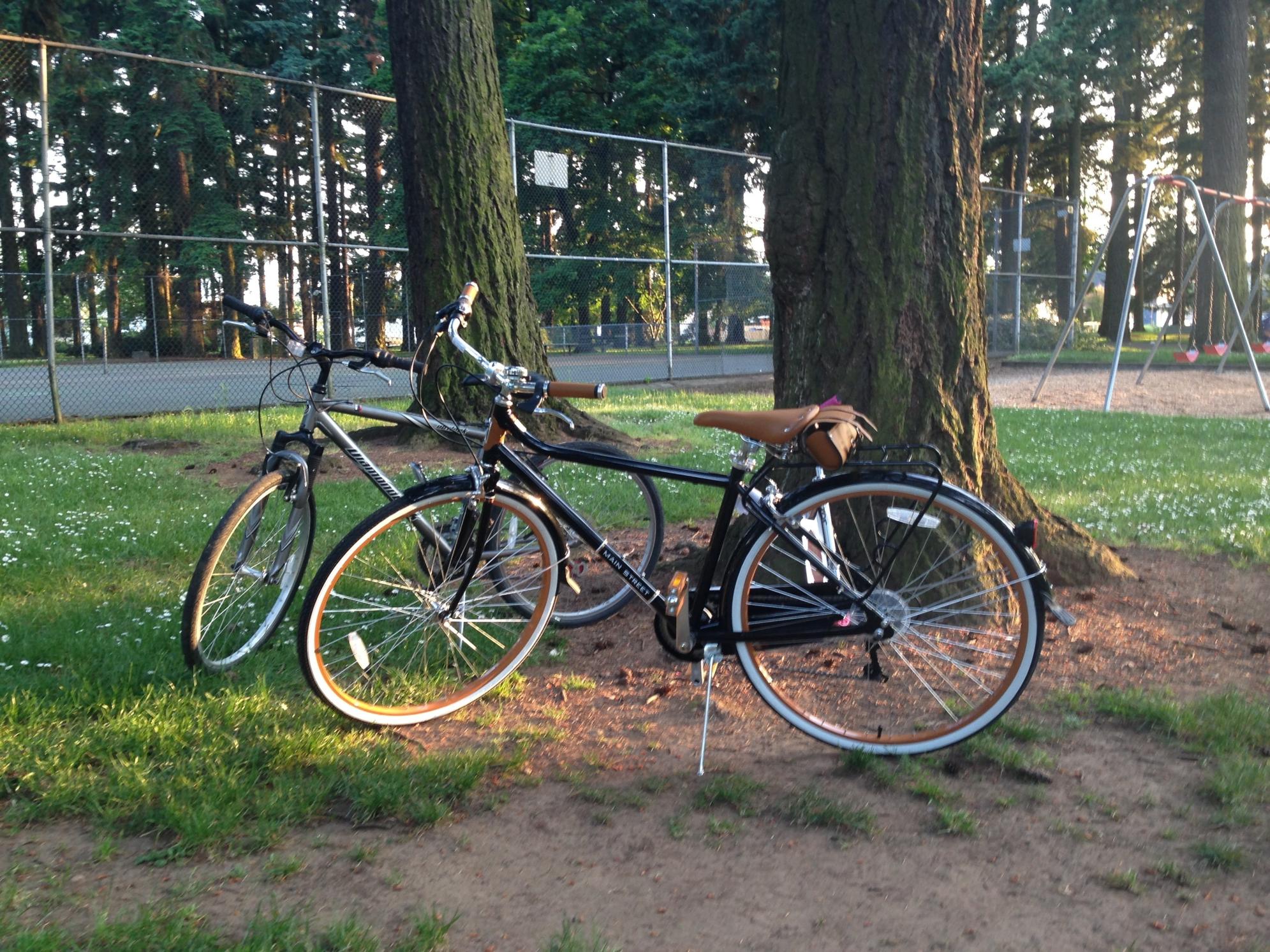 2015 Schwinn Black and Brown
