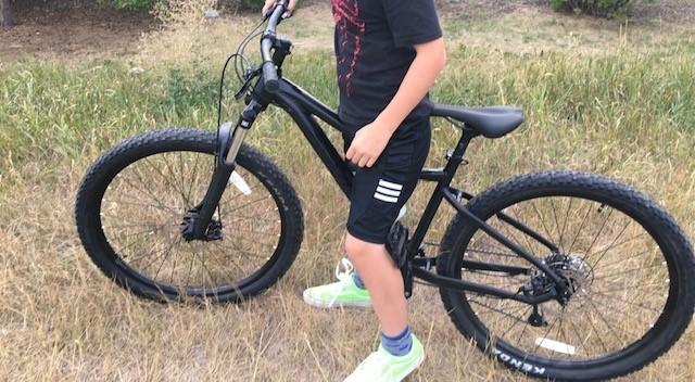 Devinci Blackbird Altus 8S Black