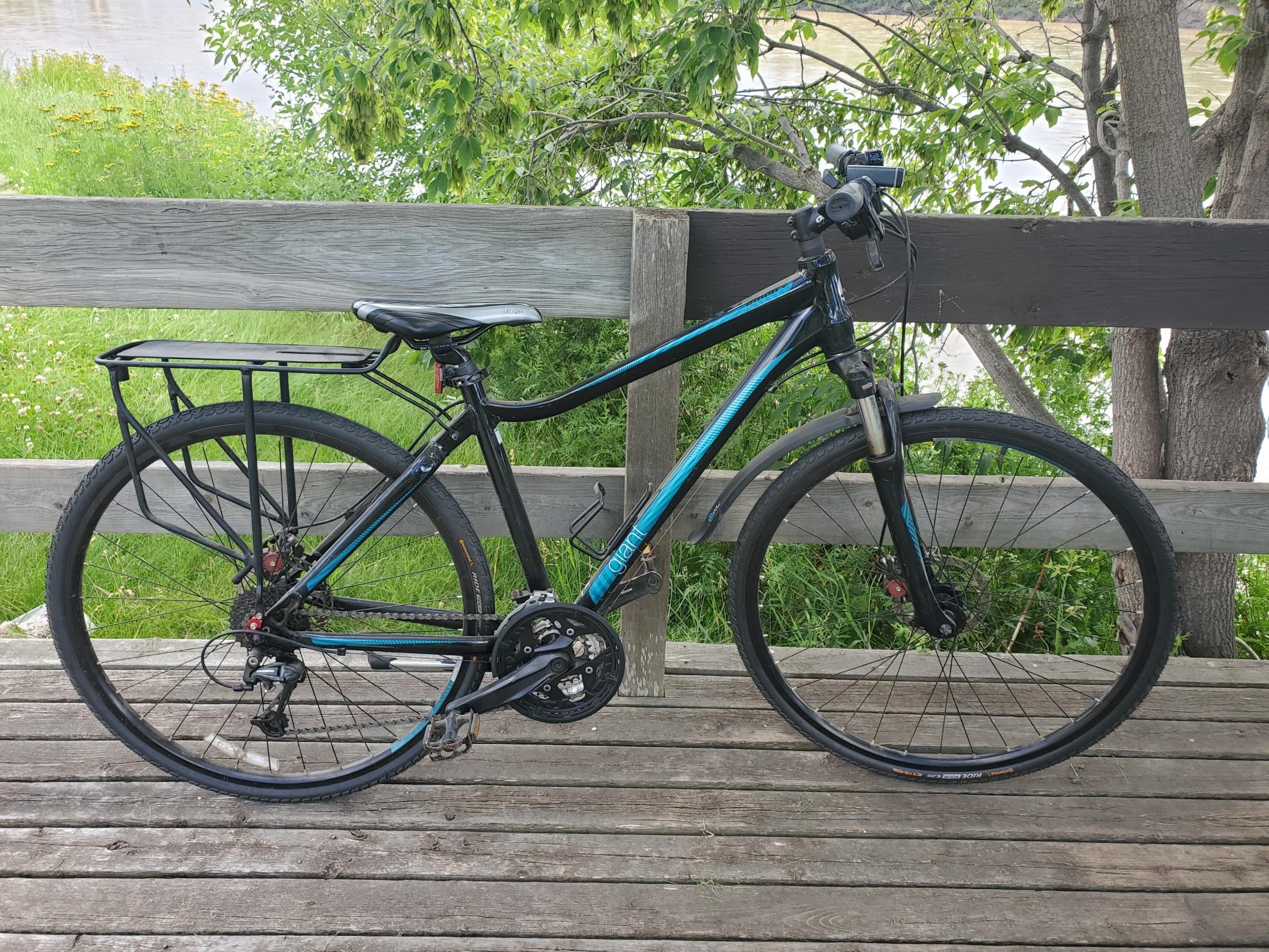 Giant Liv 1 Black and Blue