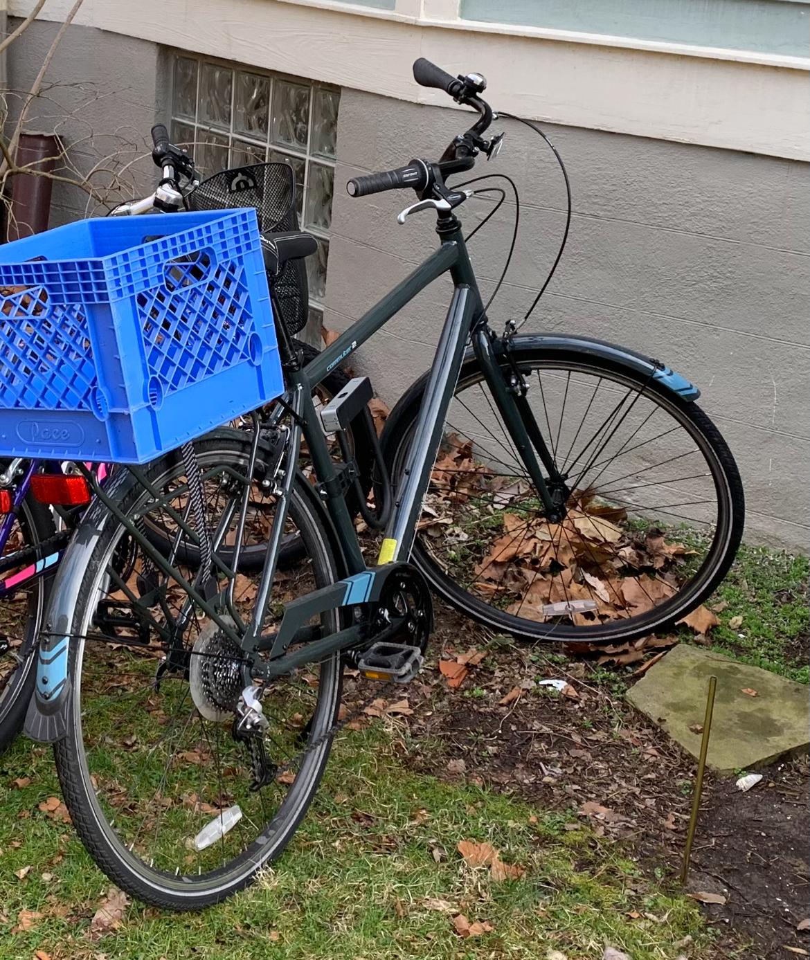 2019 Jamis Commuter Silver, gray or bare metal