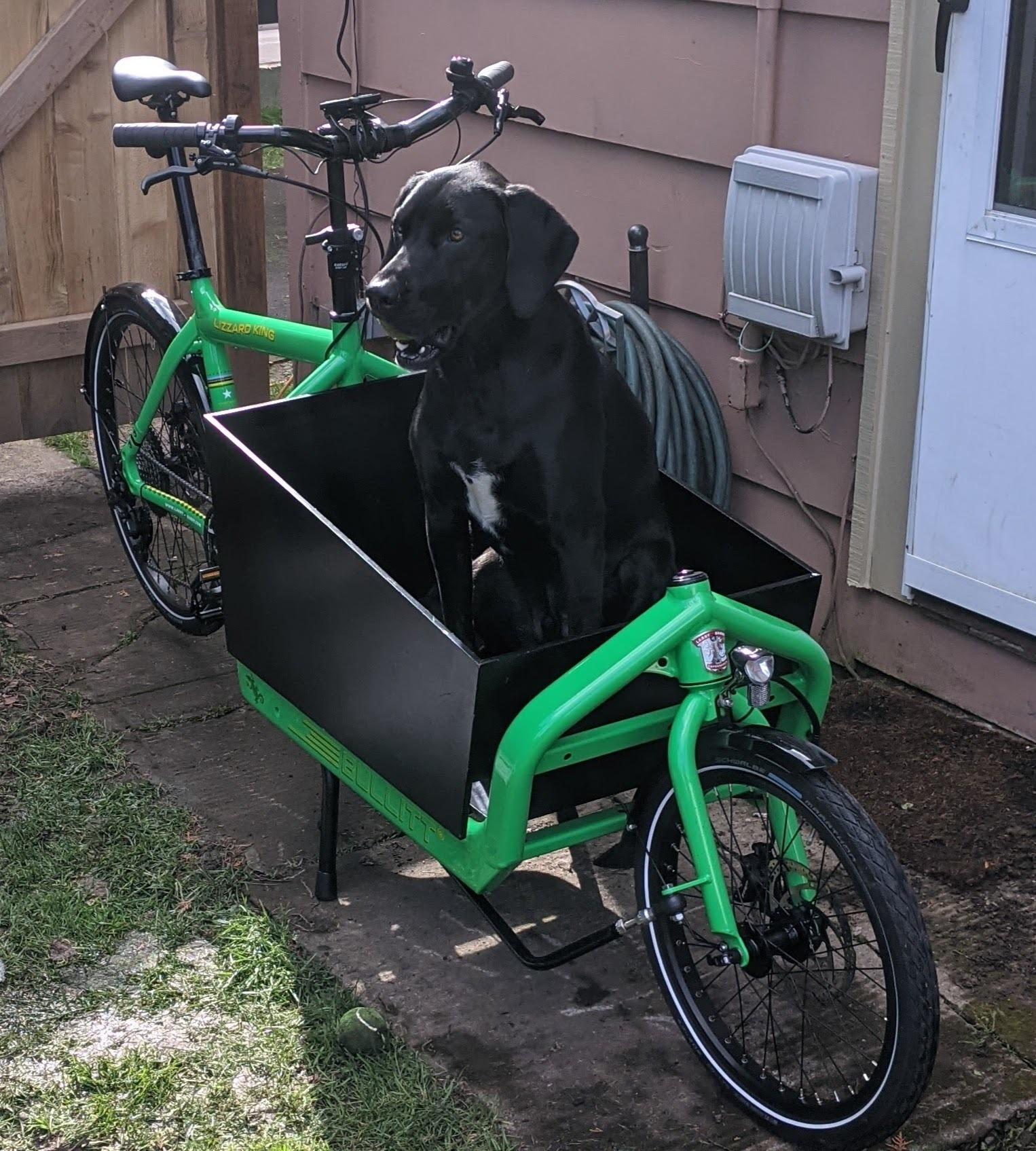 2020 Larry Vs Harry bullitt cargo bike (front storage) Green