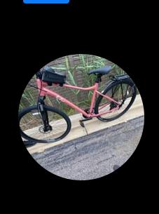 2024 Giant Rove 4 Pink