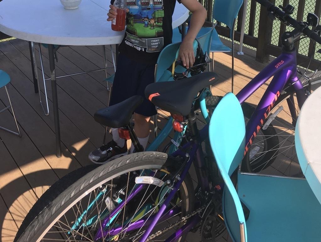 2019 Specialized Sirrus Purple