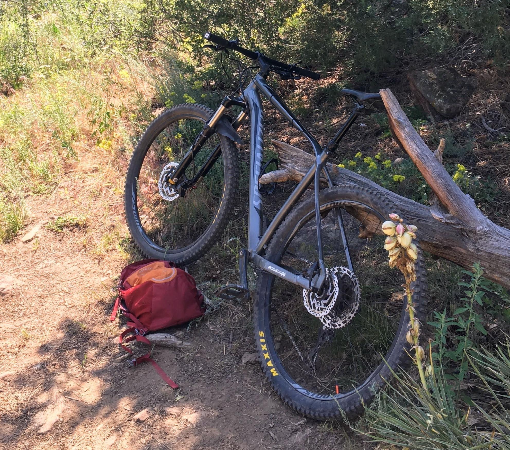 2017 Specialized Rockhopper Silver, gray or bare metal