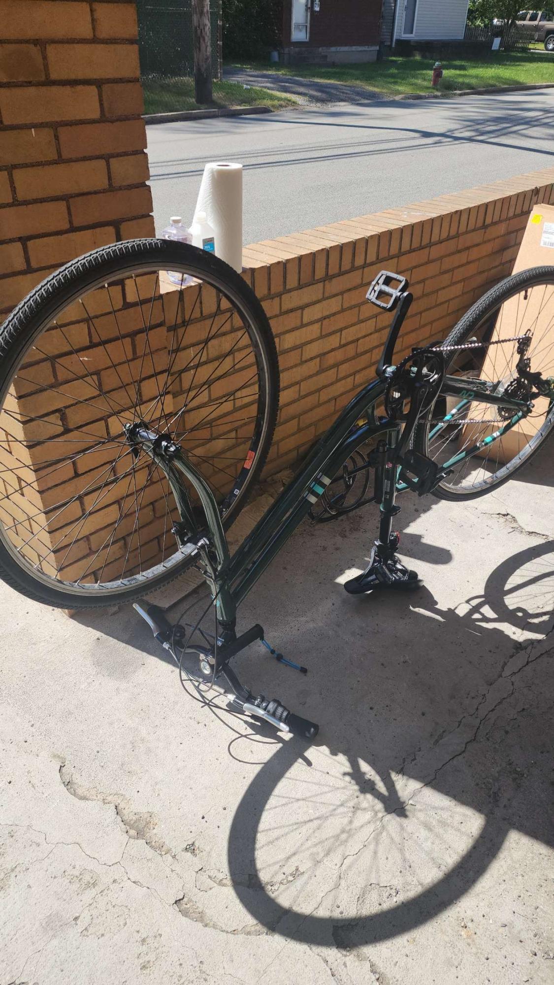 Liv Flourish 4 Green