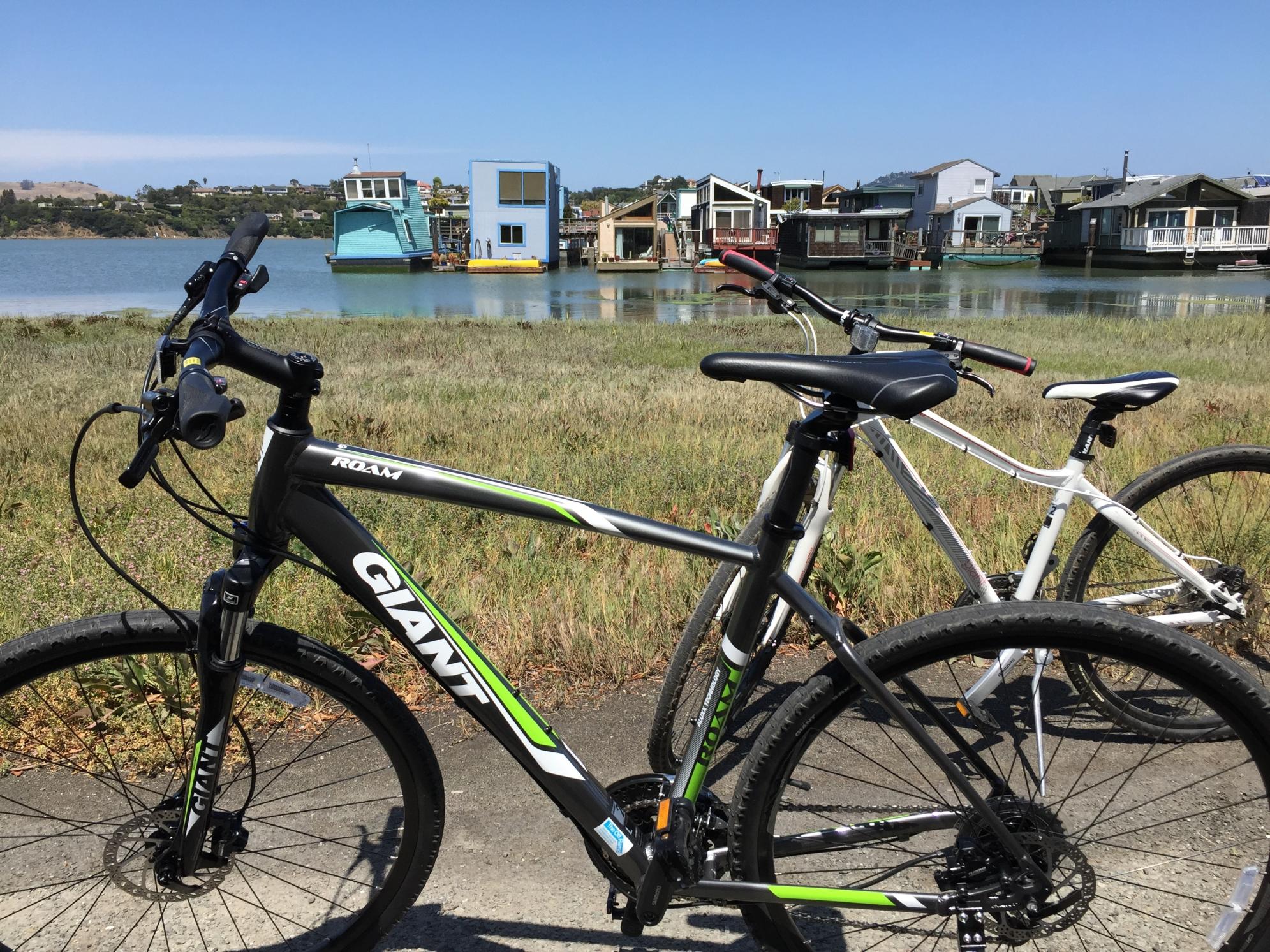 2015 Giant Roam 2 Green