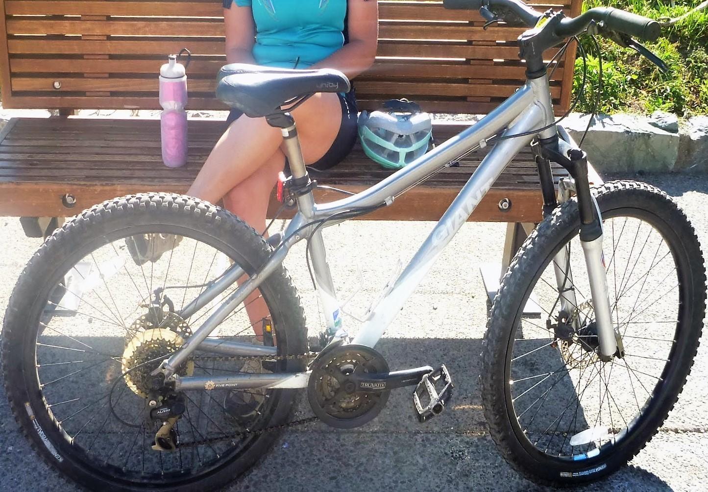 2008 Giant Rincon w White