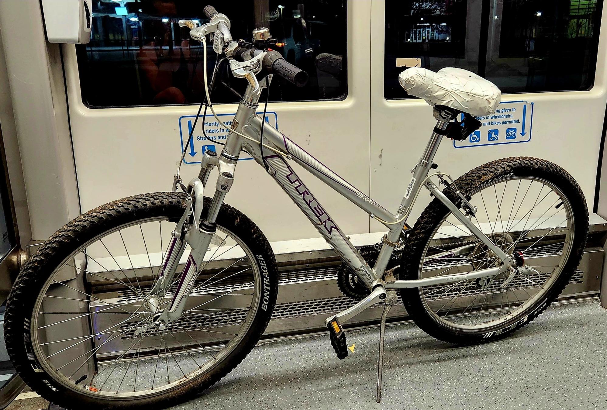 Trek Silver, gray or bare metal and Purple