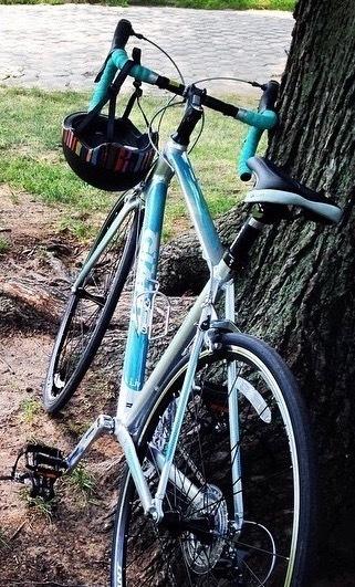 2014 Giant Avail 5 Teal