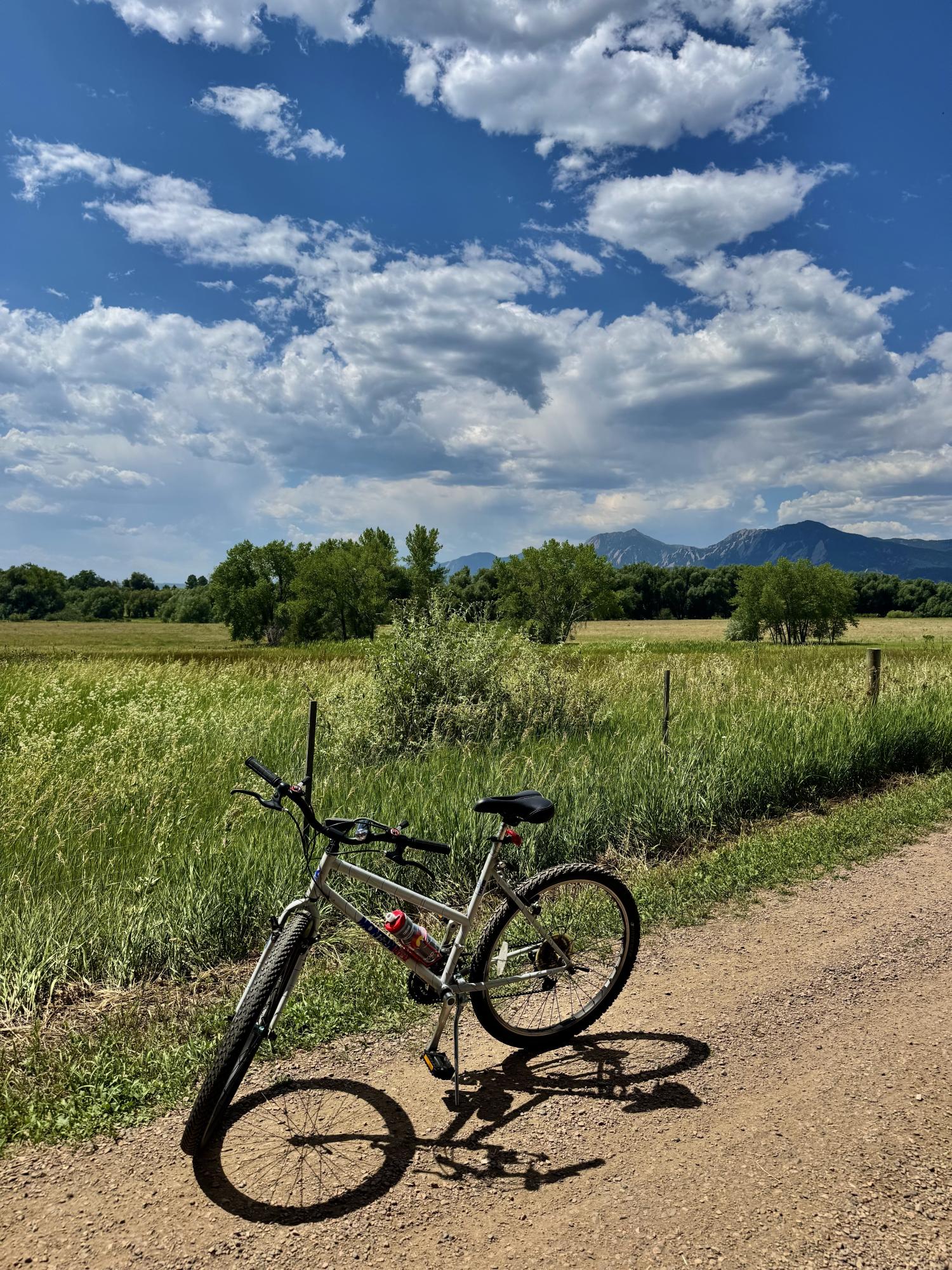 KHS Bicycles Montana Crest White and Pink