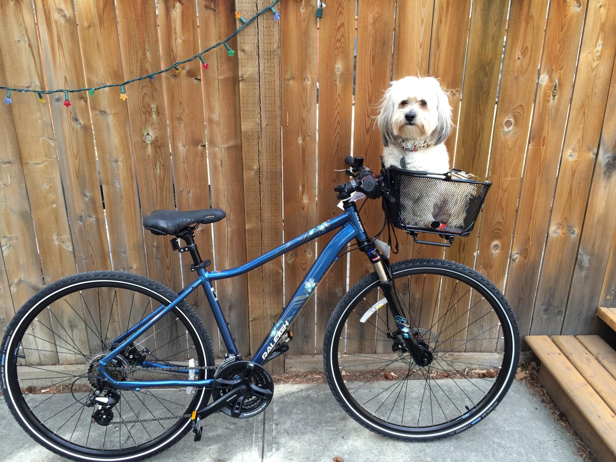 2014 Raleigh Hybrid Blue
