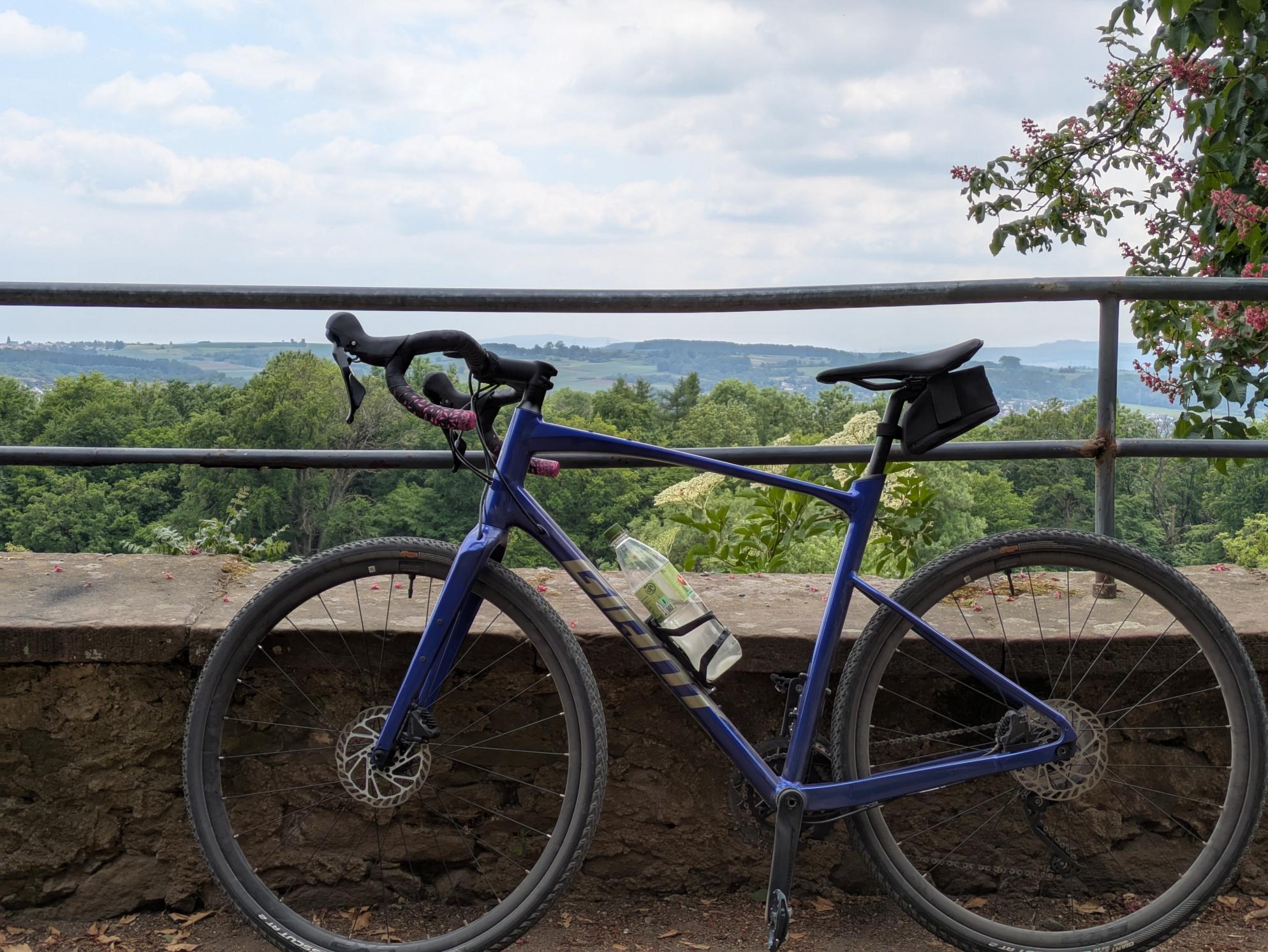 2024 Giant Revolt 1 Blue and Purple