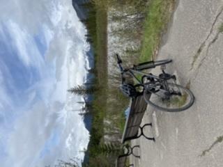 Rocky Mountain Bicycles Whistler Silver, gray or bare metal