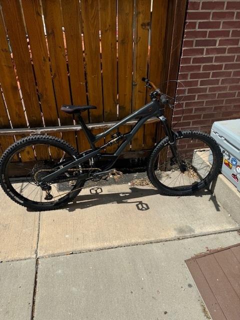 2020 YT Capra Silver, gray or bare metal and Black