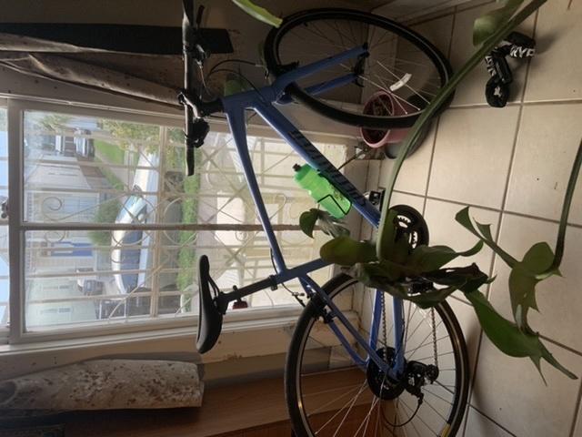 Specialized SIRRUS 1.0 SKY CST Blue