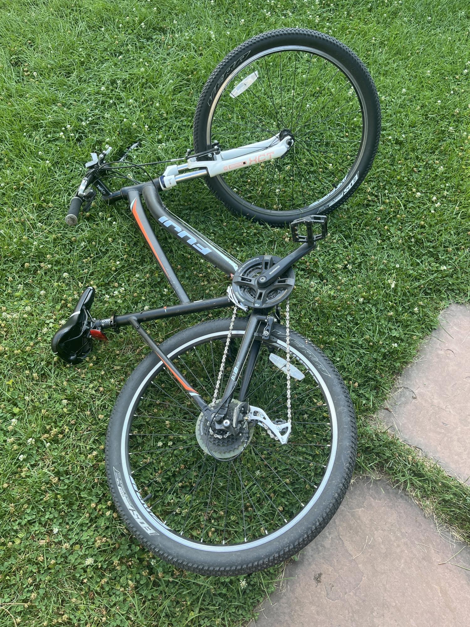 Fox Lea Black, Orange, and White