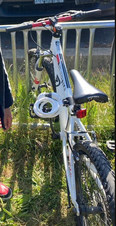 Dynacraft Throttle White, Red, and Black