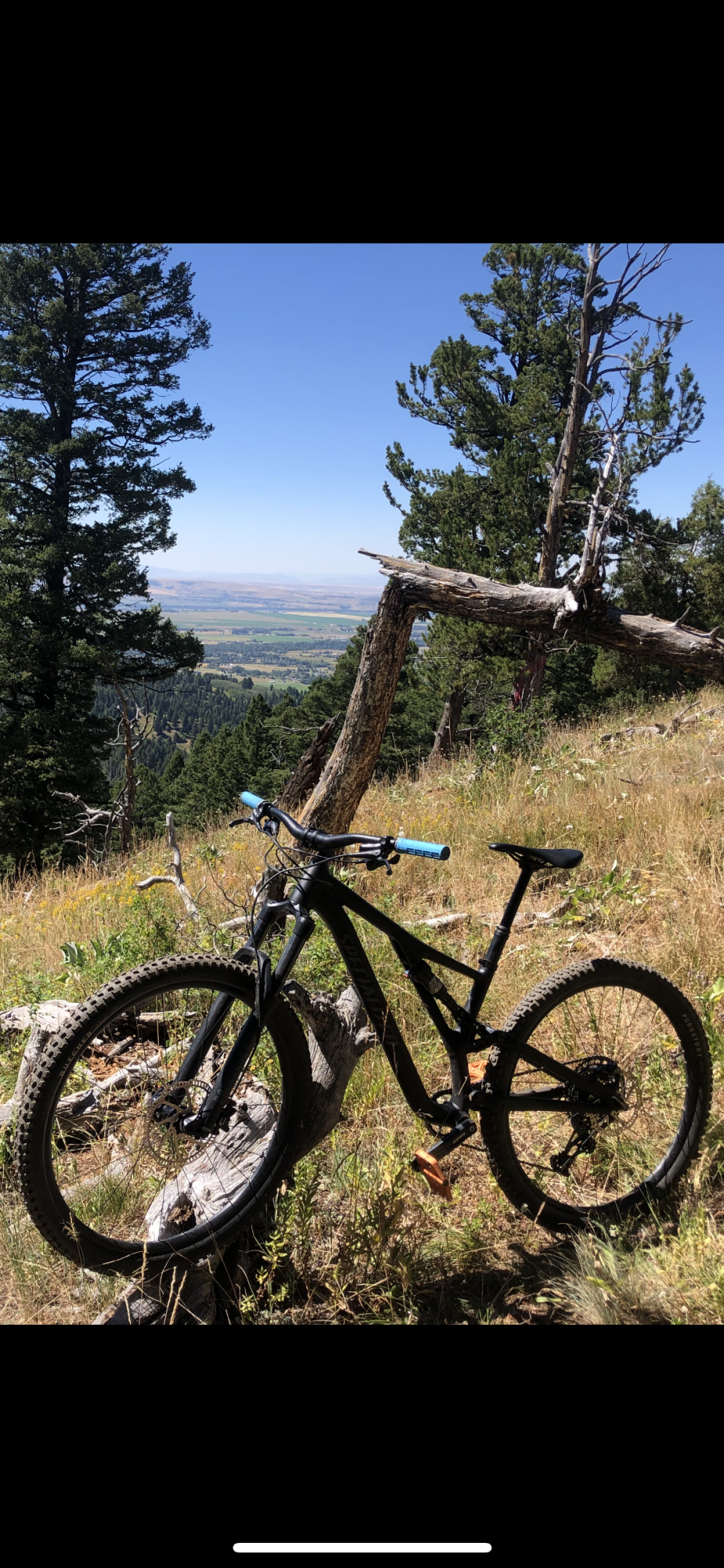 2021 Specialized Stumpjumper Black and Black