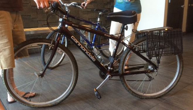 1998 Cannondale M300 CAD2 Purple