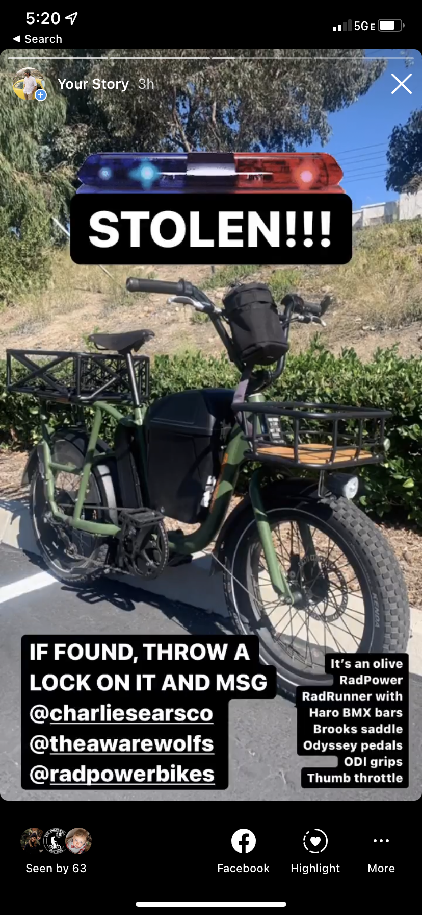 2021 Rad Power Bikes RadRunner Green
