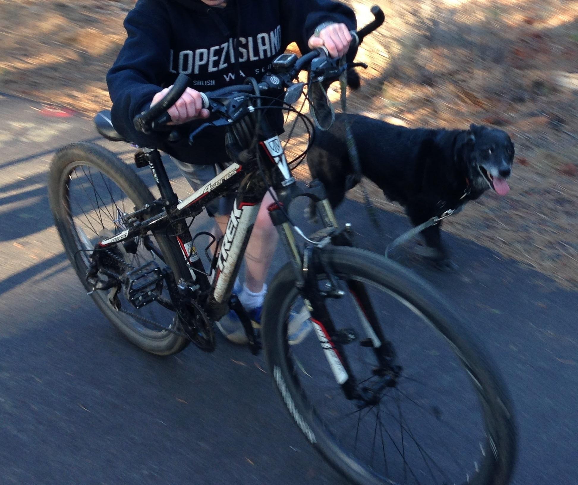 2011 Trek 4300 Black