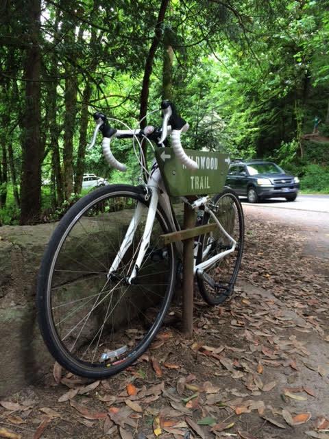 2011 Specialized Dolce Sport Compact White