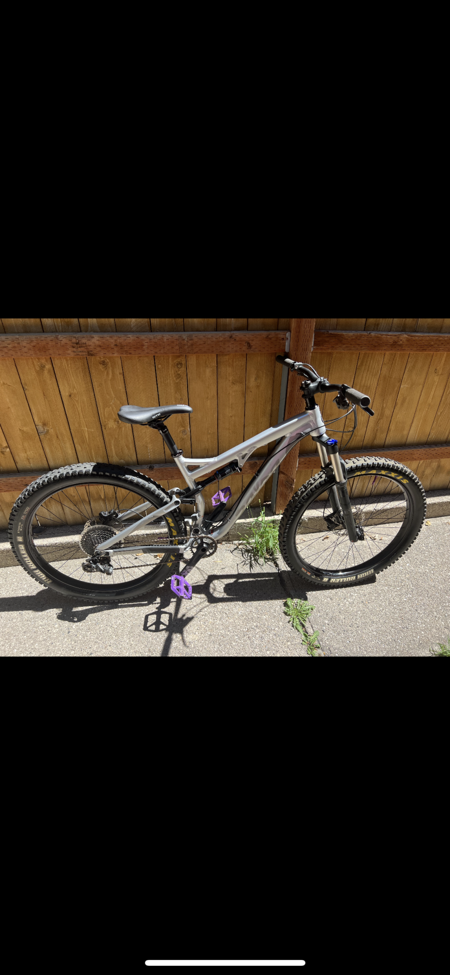 2018 Salsa Pony Silver, gray or bare metal