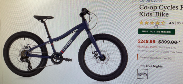 2021 REI Mid-Step Blue