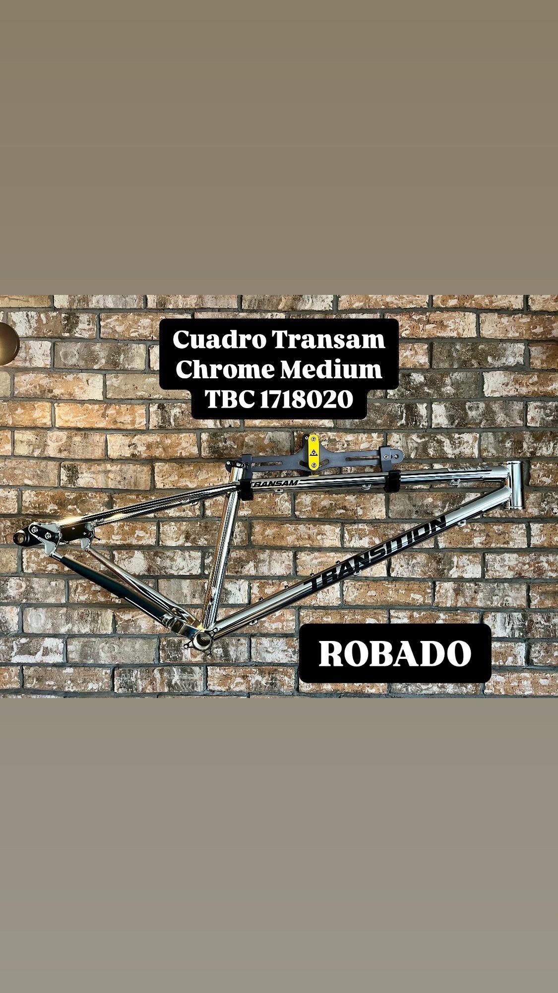 2024 Transition Bikes Transam Silver, gray or bare metal