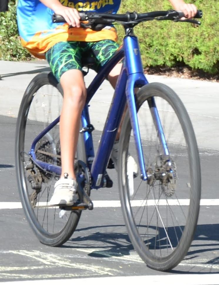 2024 Trek FX 3 SO Blue