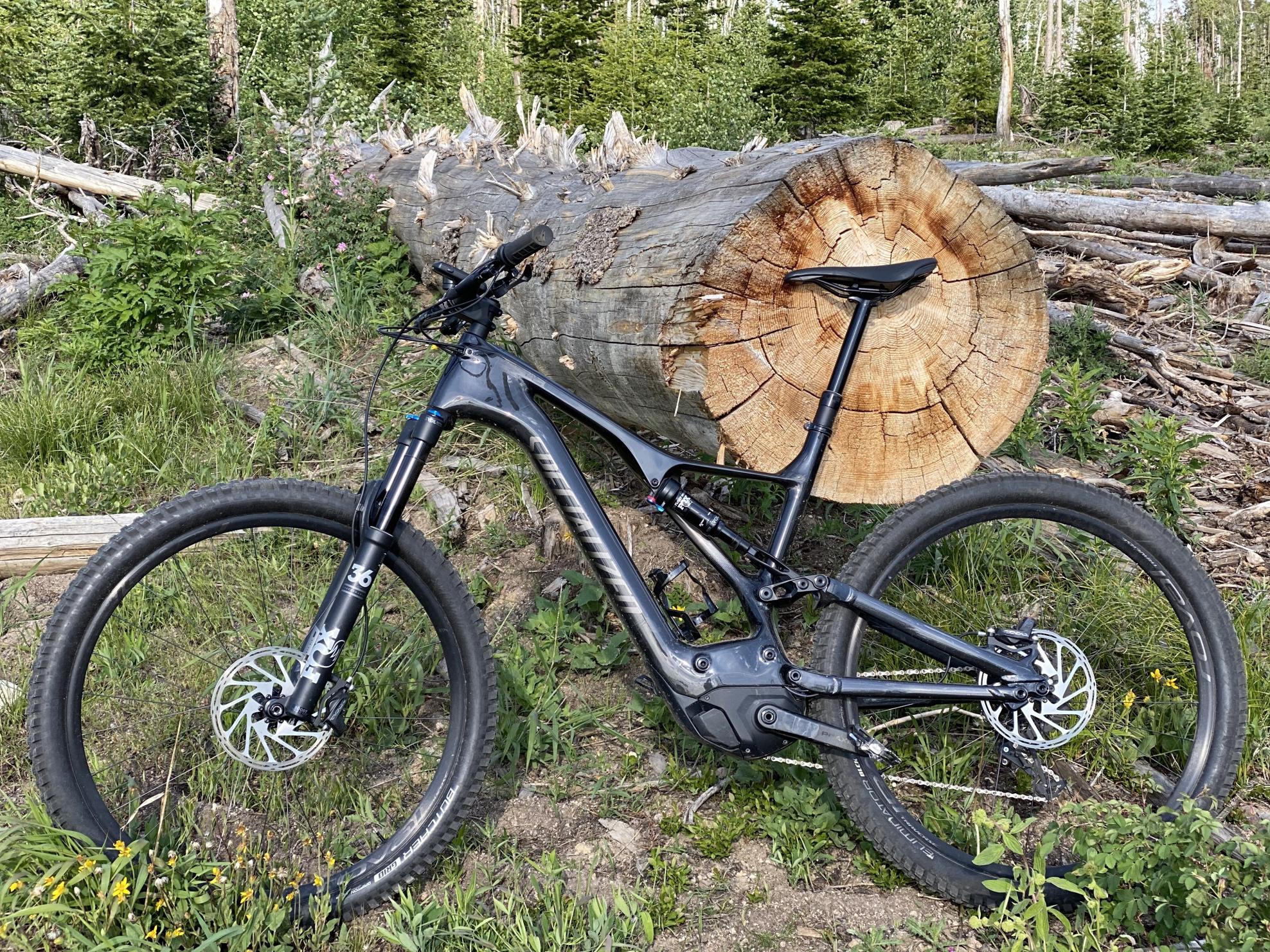 Specialized Black