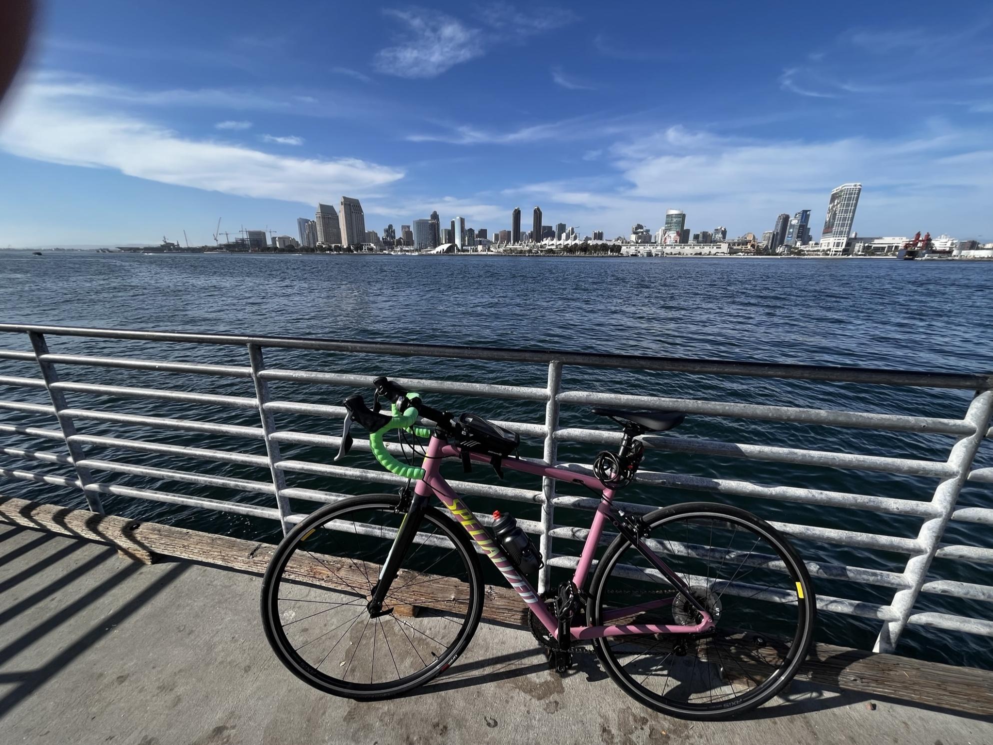 2020 Specialized Allez Purple