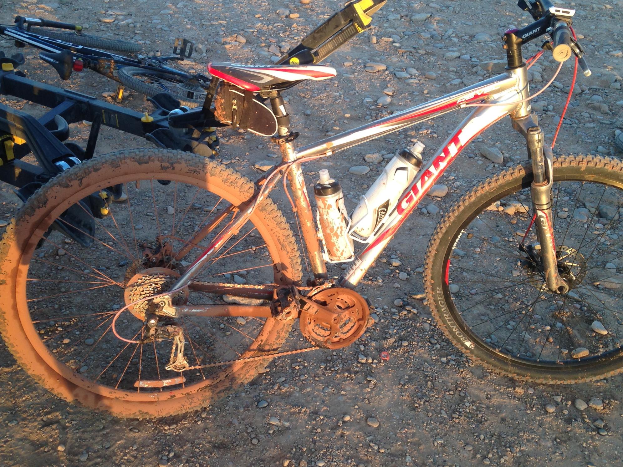 2013 Giant Revel 29er 1 Silver or Gray