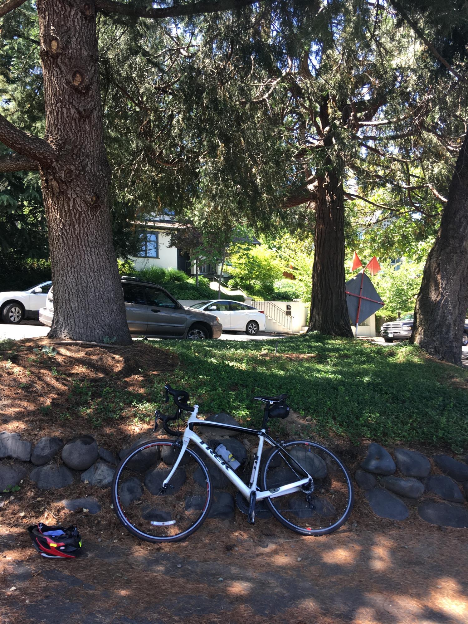 2014 Trek Domane 5.2 (Compact) White