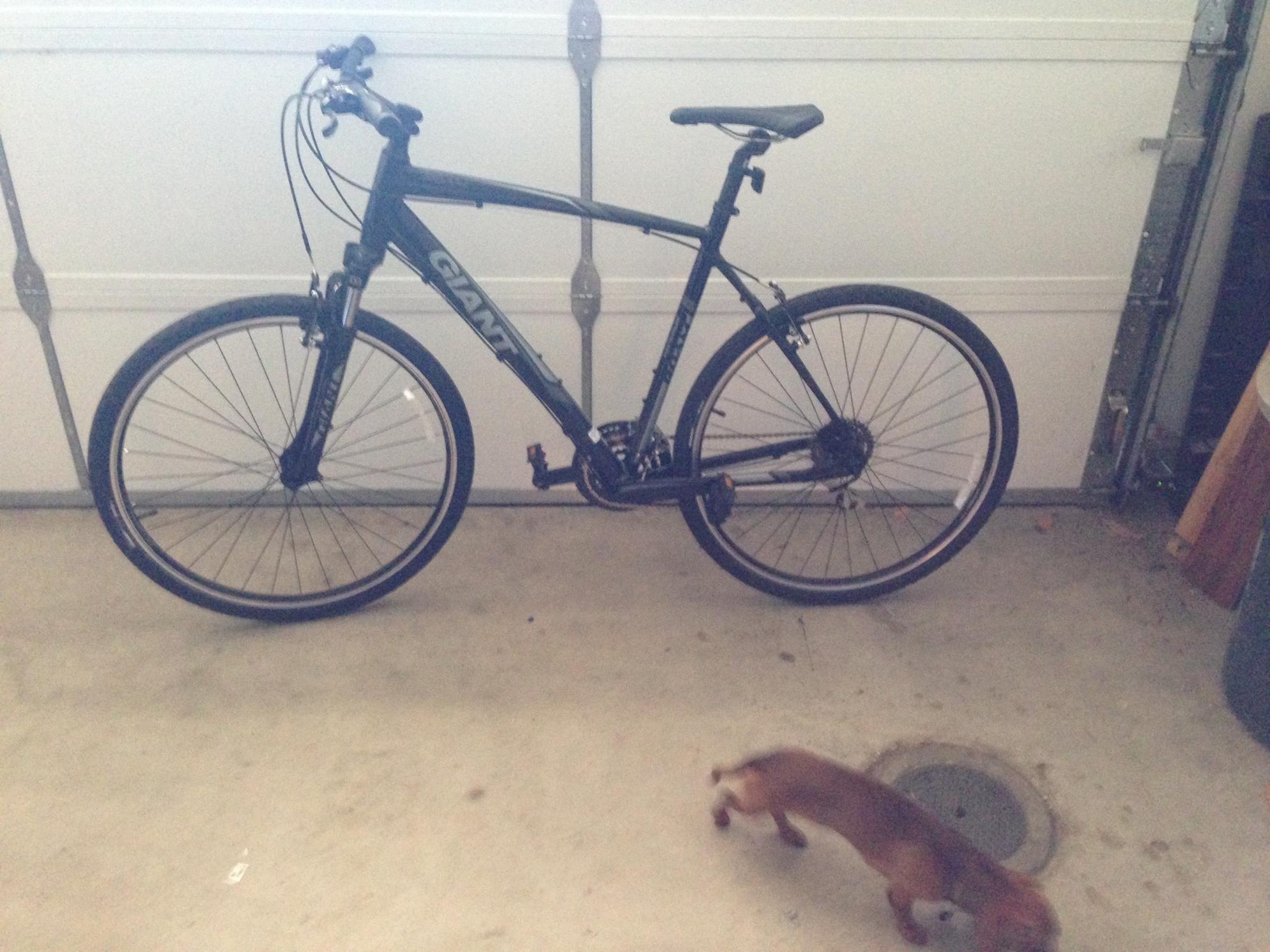 2014 Giant Roam 3 Black