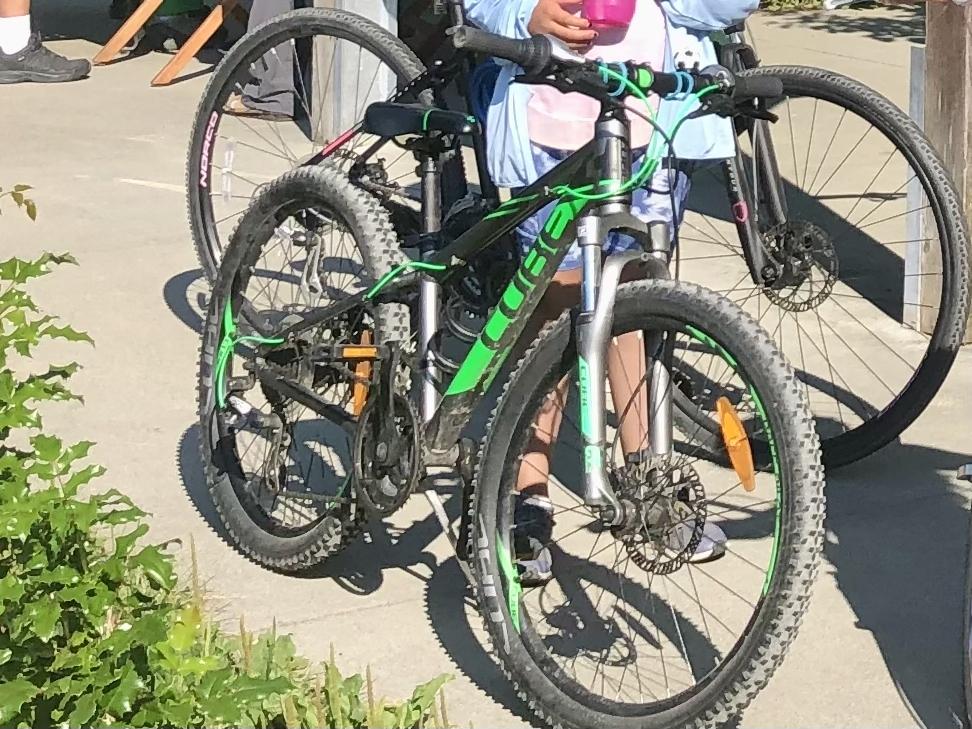 2019 Cube Silver, gray or bare metal