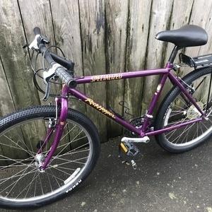 1993 Specialized Rock Hopper Purple